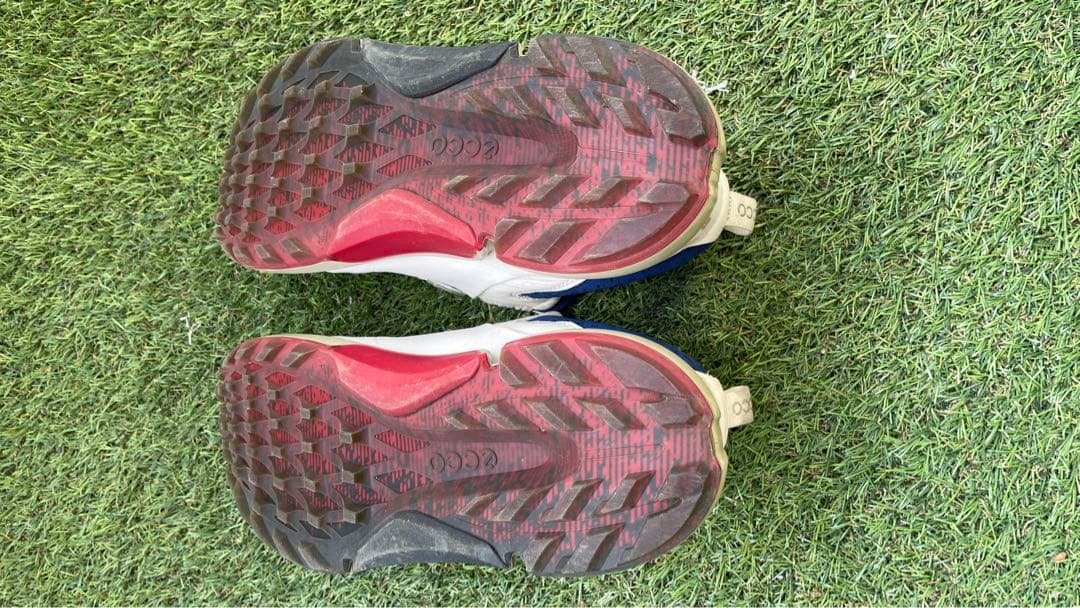 ECCO GOLF BIOM H4 BOA バイオム ハイブリッド４ ボア